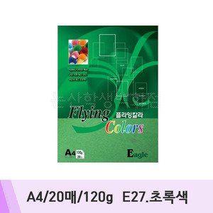 삼원 플라잉칼라(A4/20매/120g/E27.초록색)