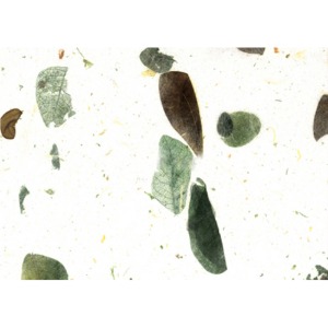 응용3-잎새지5(흰색)