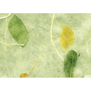 응용3-잎새지4(연녹색)