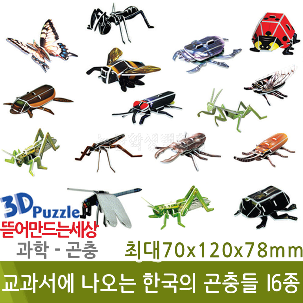 3D퍼즐|곤충| 교과서에 나오는 한국의 곤충들 16종