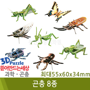 3D퍼즐|곤충| 곤충 8종