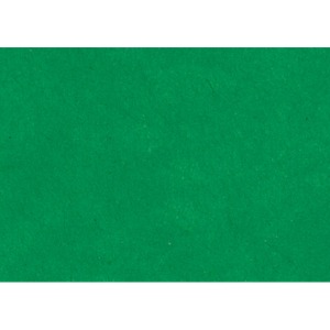 색한지33(녹색)