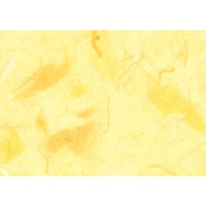 응용6-색조지2(노랑)