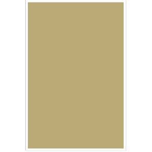 대원 칼라보드(5T/60x90cm/C31.금색)