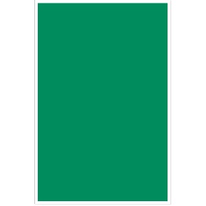 대원 칼라보드(5T/60x90cm/C48.초록)