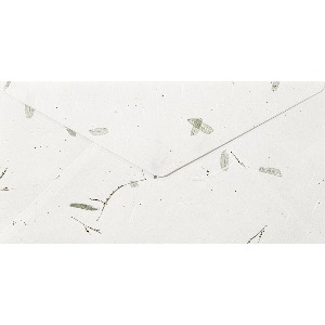 한지로 꽃보라OA한지봉투-16.상록수흰초록(10매/약220x110mm)